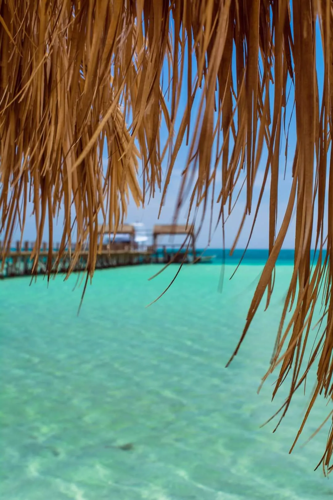 Orange Bay Hurghada Tour Guide 2026 Snorkeling Beach and Prices